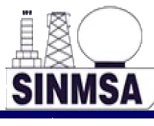 isinmsa